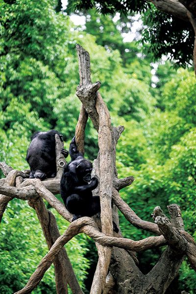 ギャラリー画像