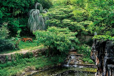 ギャラリー画像