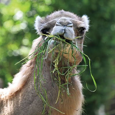 ギャラリー画像