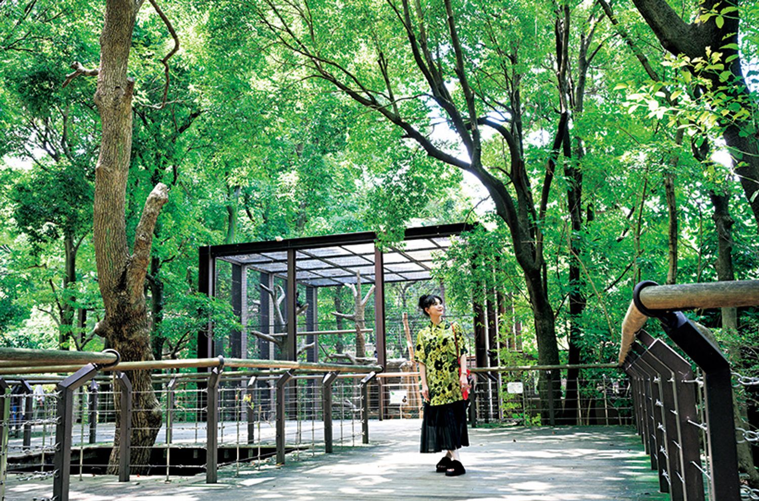 ギャラリー画像