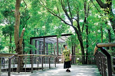 ギャラリー画像