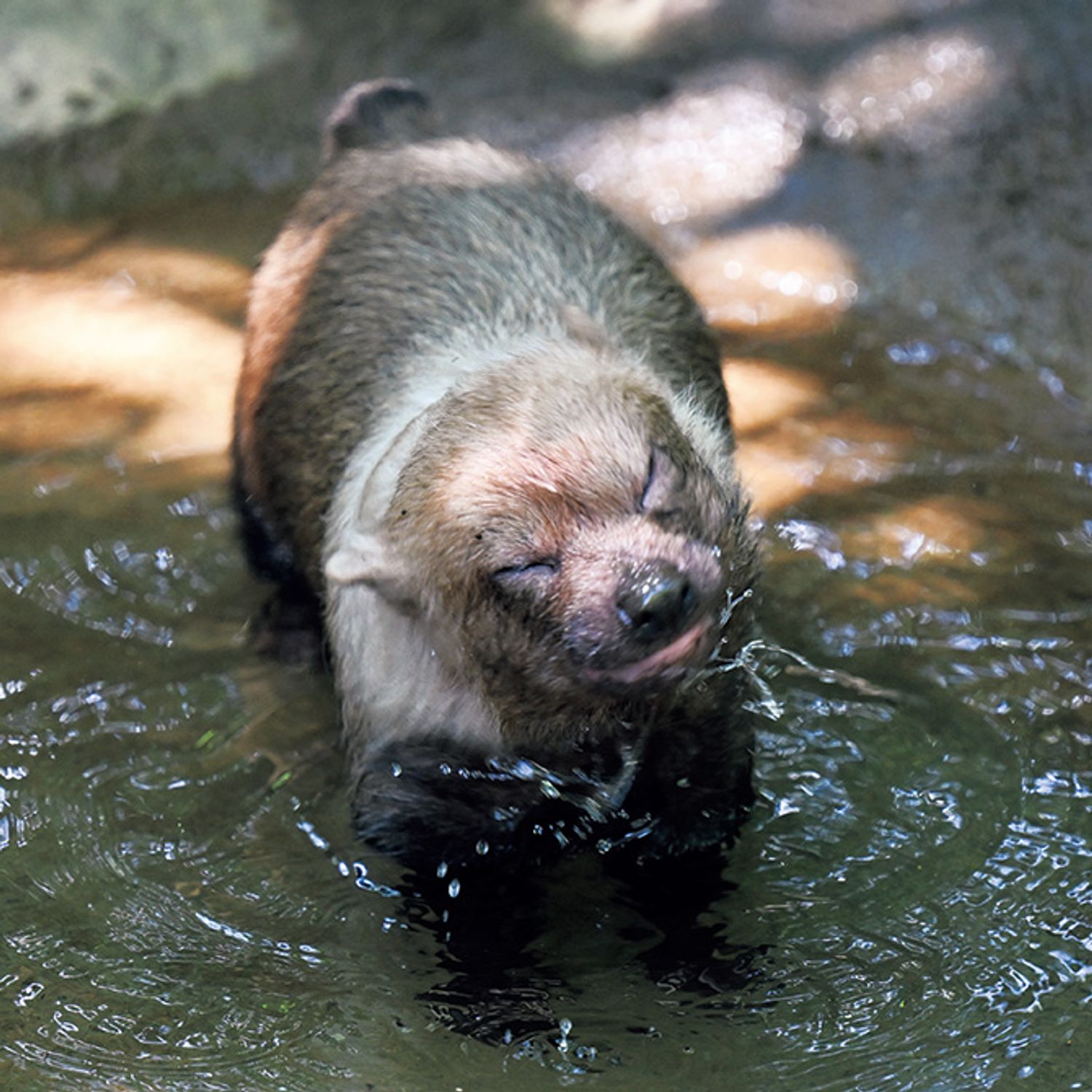 ギャラリー画像