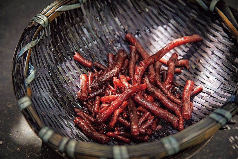 紫草の根、紫根。志村さんの次男、宏さんが滋賀県東近江市にある禅寺、永源寺の近くで栽培している。