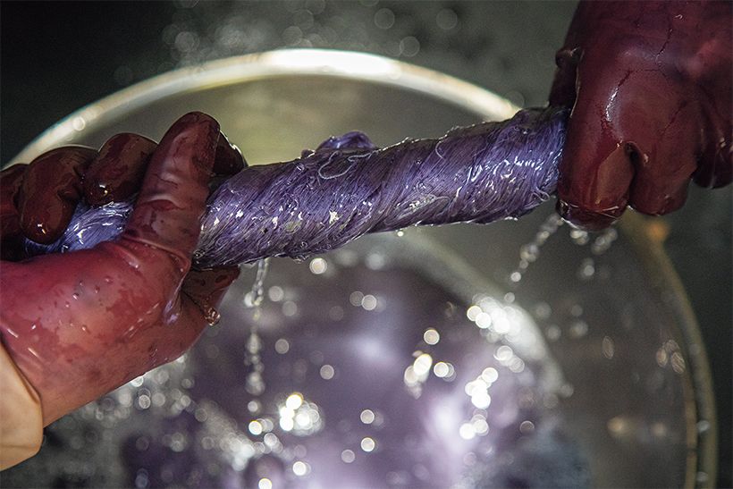 3.椿の灰汁とアルミニウムを原料とする媒染剤からなる媒染液につけると、糸はたちまち紫色に。媒染には色素を定着させる効果と、発色をよくする効果がある。