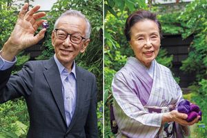 日本人が“紫”に惹かれ、大切にしてきた背景とは？【染織家 志村洋子さん × 諏訪貿易会長 諏訪恭一さん特別対談】