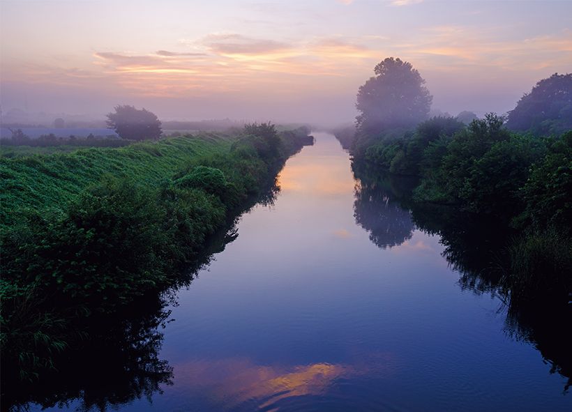 9月の芝川沿い、朝焼けに染まる雲が水面に映り込み、幻想的な光景が広がる。遠くにそびえるスズカケノキの大木が神々しさを放つ。