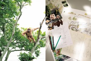 「動物園は生きる博物館」生息地を再現する、動物園デザイナーの若生謙二さん