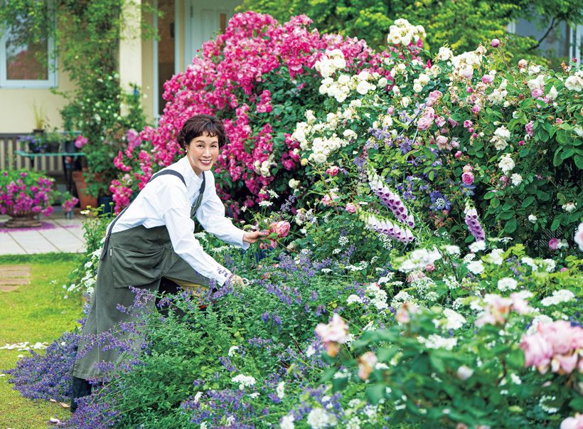 バラをはじめ色とりどりの花々で埋め尽くされる庭。日々育つ花々の世話は一日も欠かせず、「風邪なんてひいていられません」。