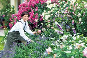 芦屋の豊かな自然に囲まれて暮らす、寺谷真由美さんのライフスタイルを拝見