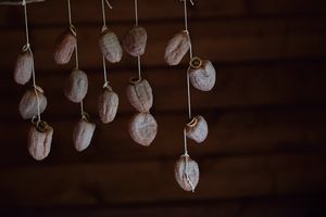 【Masayo’s Style】料理家・三枝政代さんが綴る「 暮らしの遊び心」9月～風遊ぶ食卓～