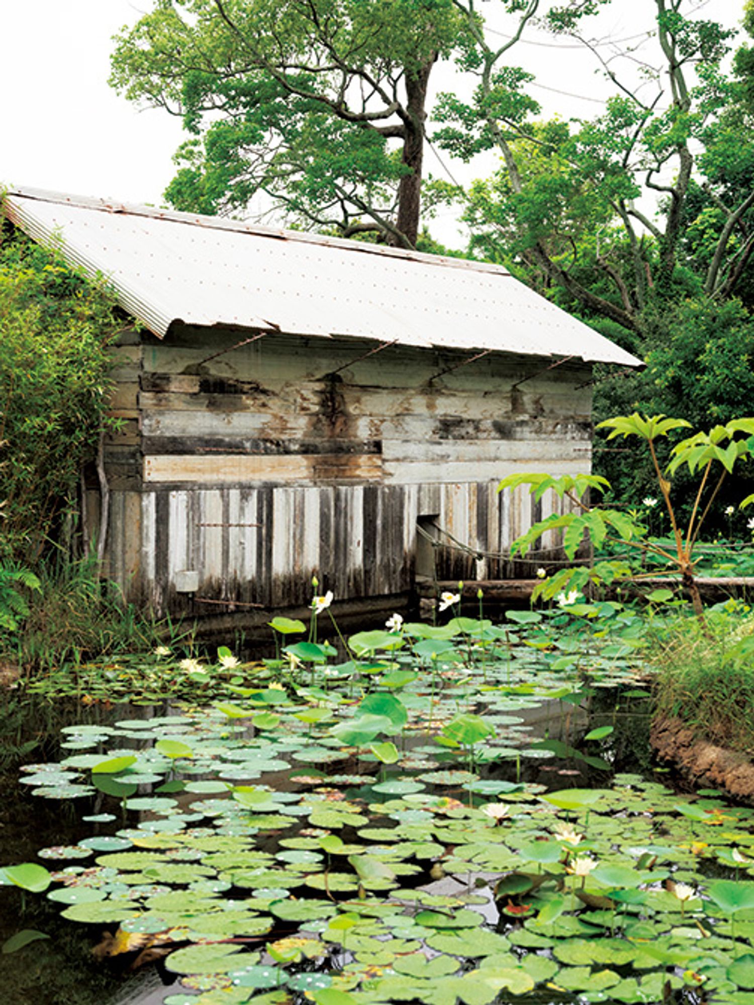 ギャラリー画像