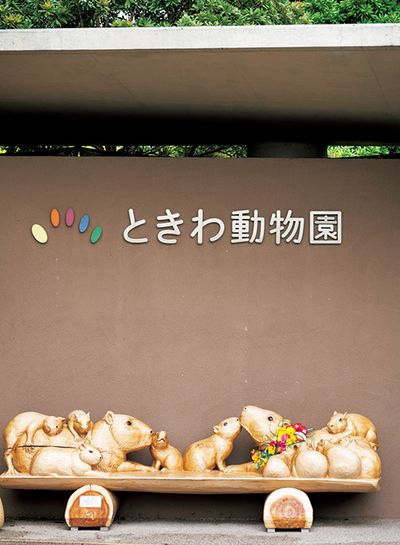 ギャラリー画像