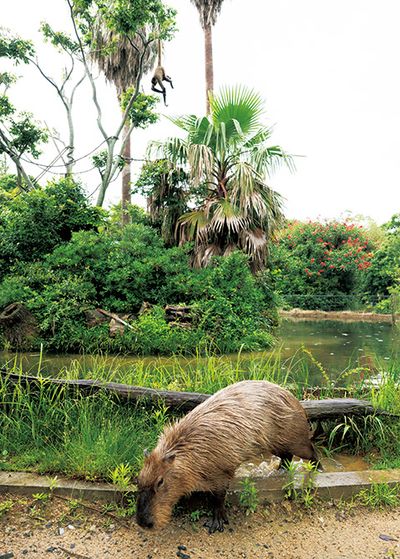 ギャラリー画像