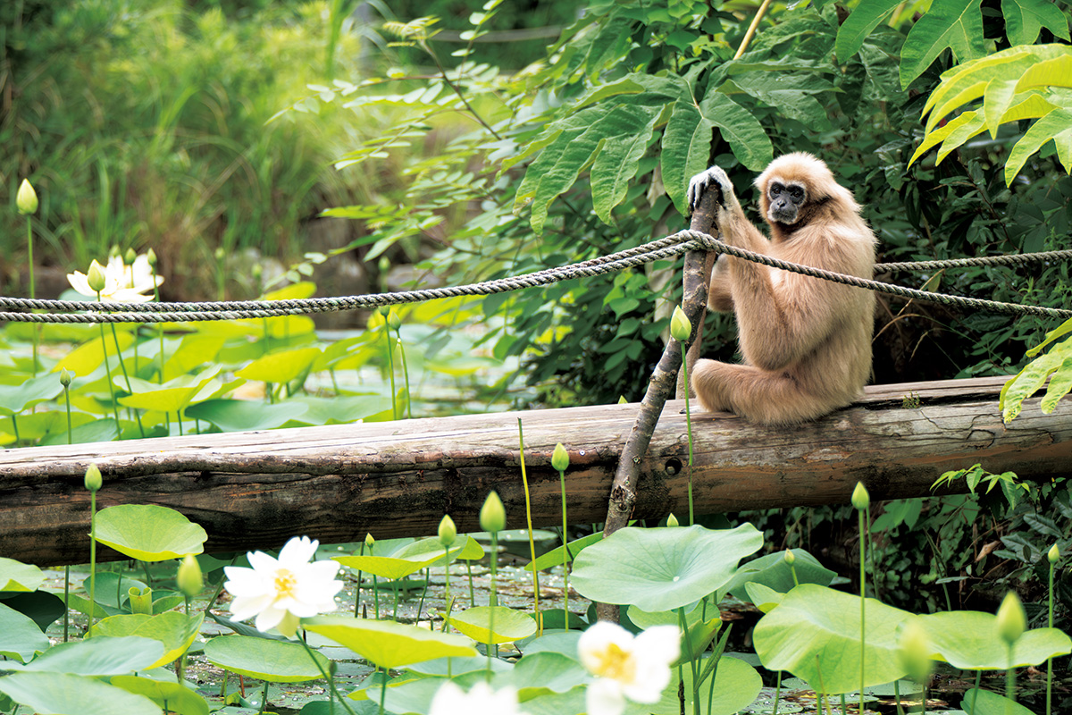 main_image_015bee4fa82e0305d9f