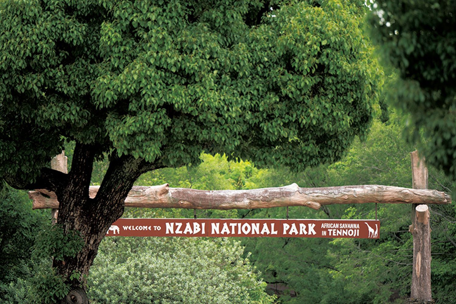 ギャラリー画像