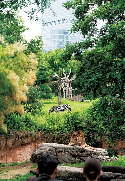 ギャラリー画像