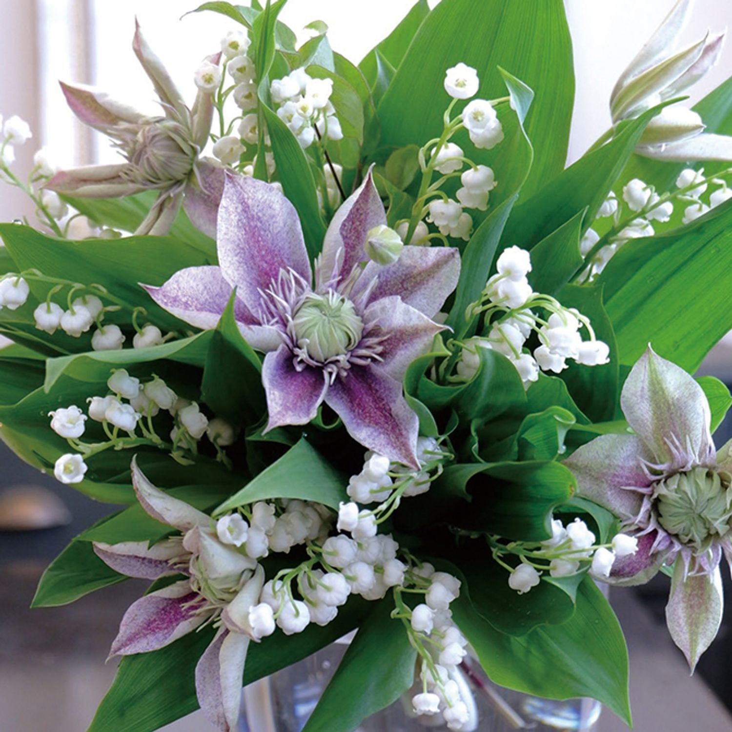 『家庭画報 花カレンダー 2026』より