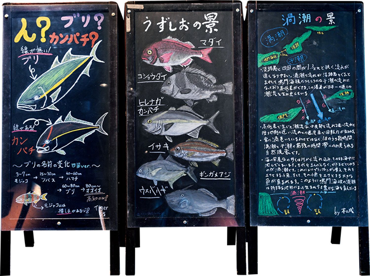 ギャラリー画像