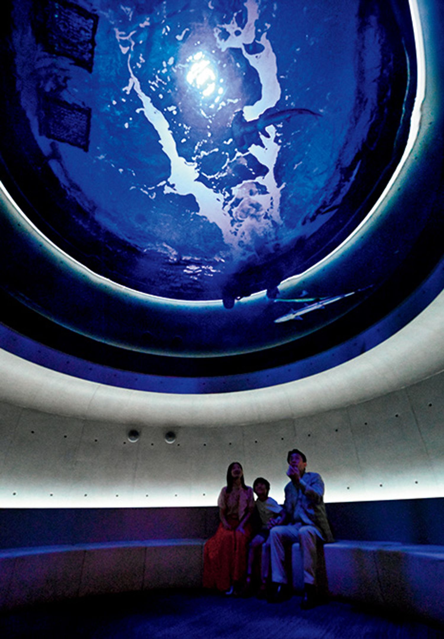 ギャラリー画像