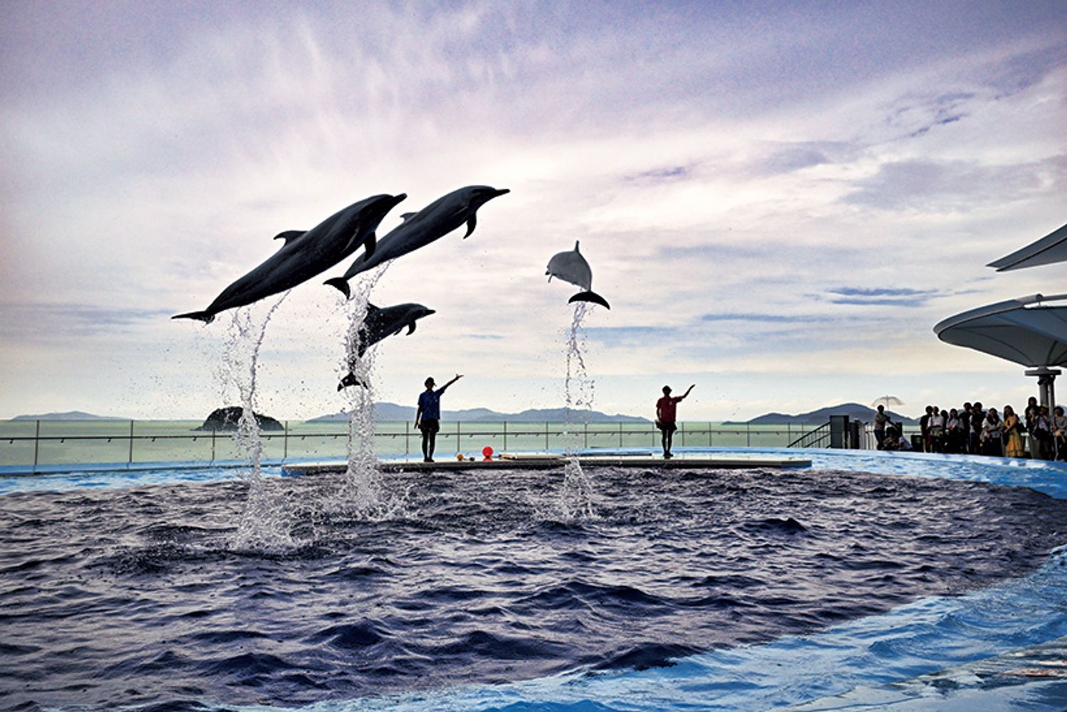 ギャラリー画像