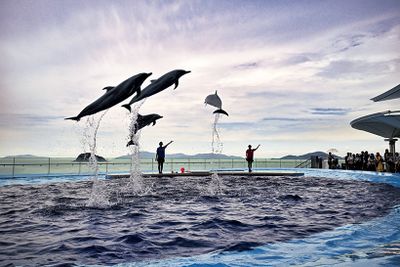 ギャラリー画像