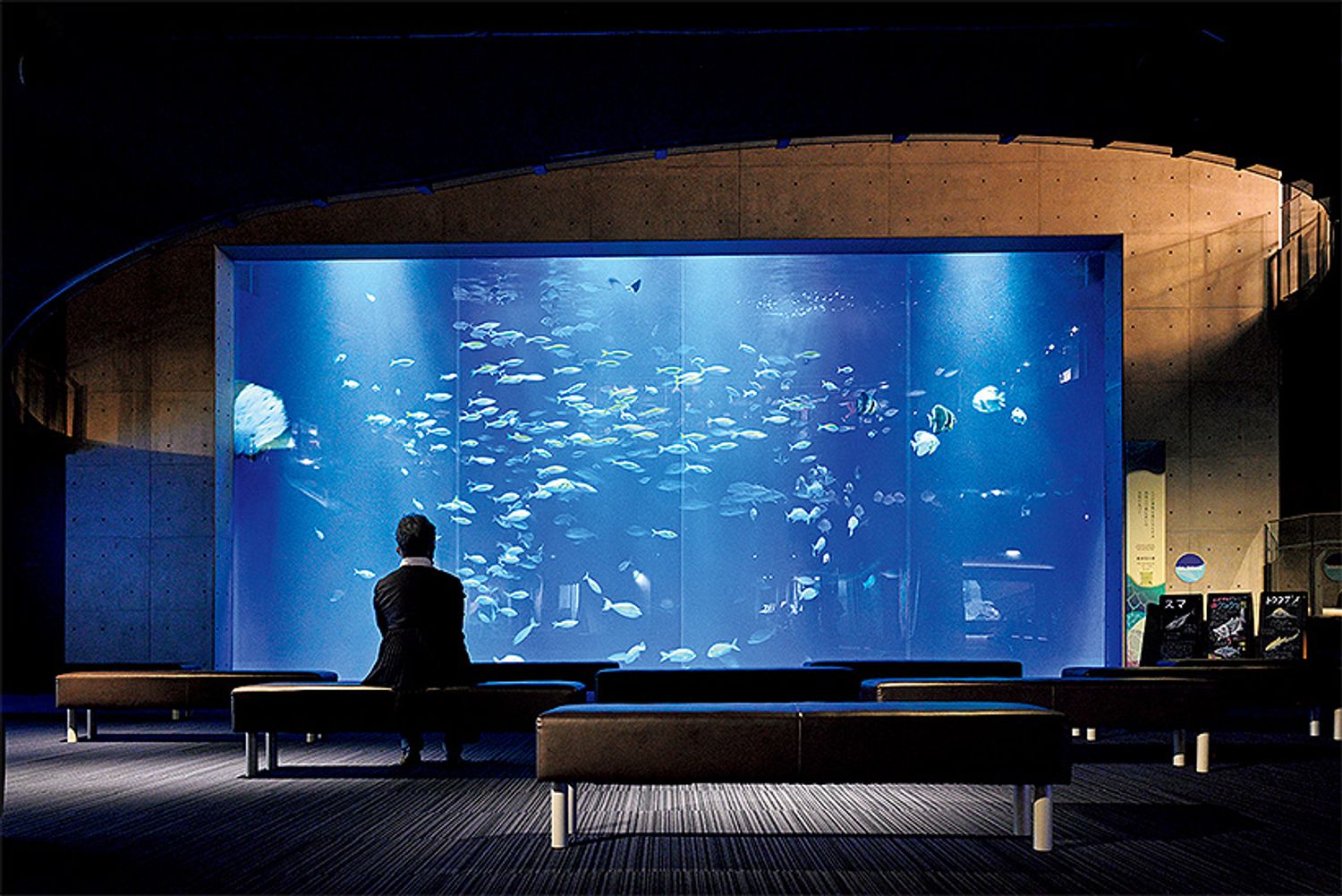 ギャラリー画像