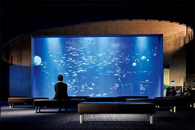 ギャラリー画像