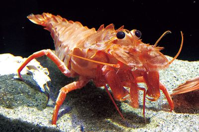 ギャラリー画像