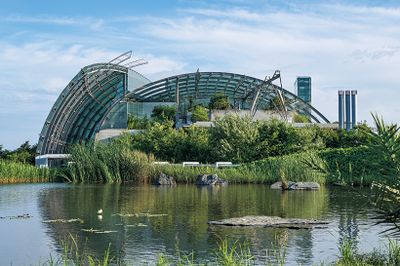 ギャラリー画像