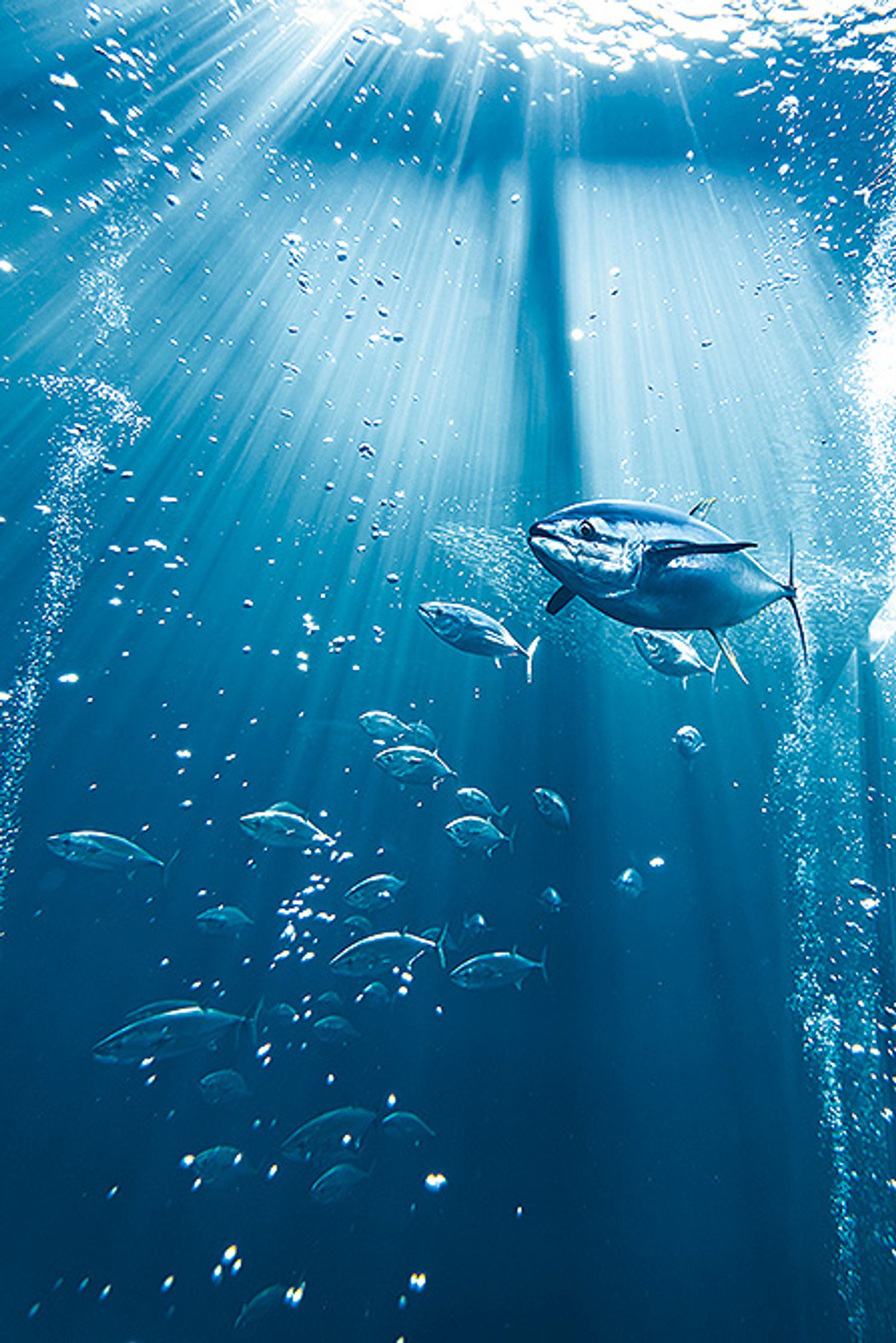 ギャラリー画像