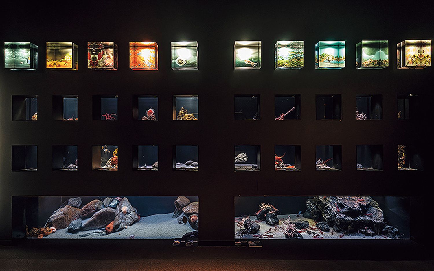 ギャラリー画像