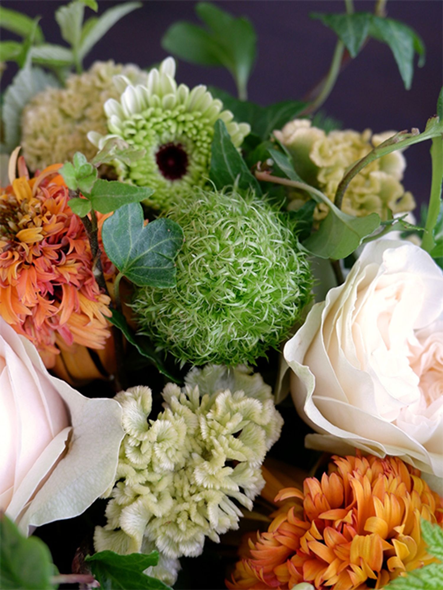 ケイトウ‘プティフルーツ フェアリードリュアス’とガーベラ‘みころん’。同じグリーン系でも色みも質感もこんなに異なります。ちなみにドリュアスとはギリシア神話に登場する木の精霊のこと。しゃれた色合いのニンフ（精霊）です。