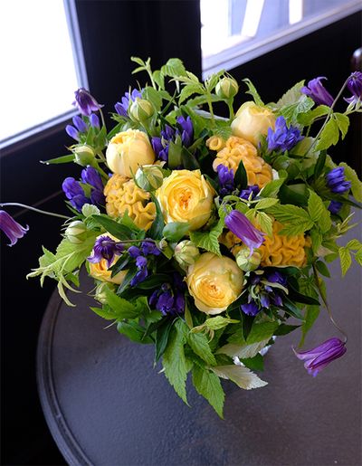 ケイトウ‘アスカセレクト ひよこ’に、蕾つきバラ‘カタリナ’を合わせ、愛らしいたまご色の贈り花に。リンドウの‘グラスブルー’と‘ながの極早生’、クレマチス‘篭口’と、美しいブルーの花を加るとたまご色がより引き立ちます。フランボワーズの葉をたっぷりあしらい、ナチュラル感のあるアレンジに仕上げました。