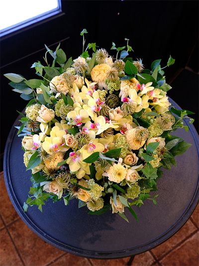 ファレノプシス‘イエローハピネス’、エキナセア‘レモンドロップ’、バラ‘リテラチュール’、そしてケイトウ‘プティフルーツ フェアリードリュアス’を使い、くるくる巻きのクレマチスシードを加えたアレンジです。あしらいにアップライトアイビー‘シャムロック’、ブルーベリーなどを利用。じつはこのアレンジは、かわいがっていたペットのトカゲちゃんを亡くしたお友達への慰めの花。フトアゴヒゲトカゲと聞き、その色合いで作りました。