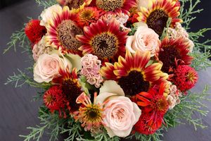 発色のよさが魅力のケイトウに、心惹かれる新色が登場。贈り花でも大活躍！