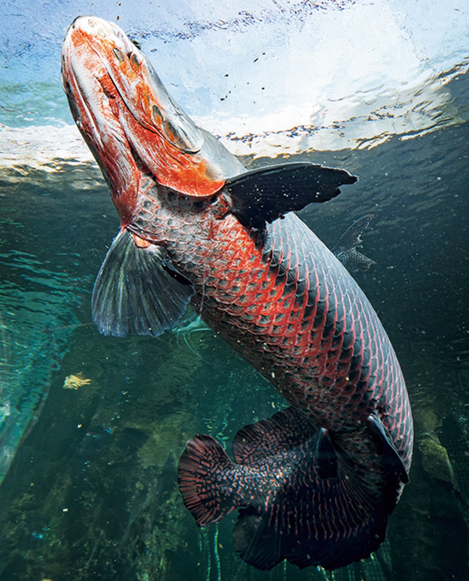 ギャラリー画像