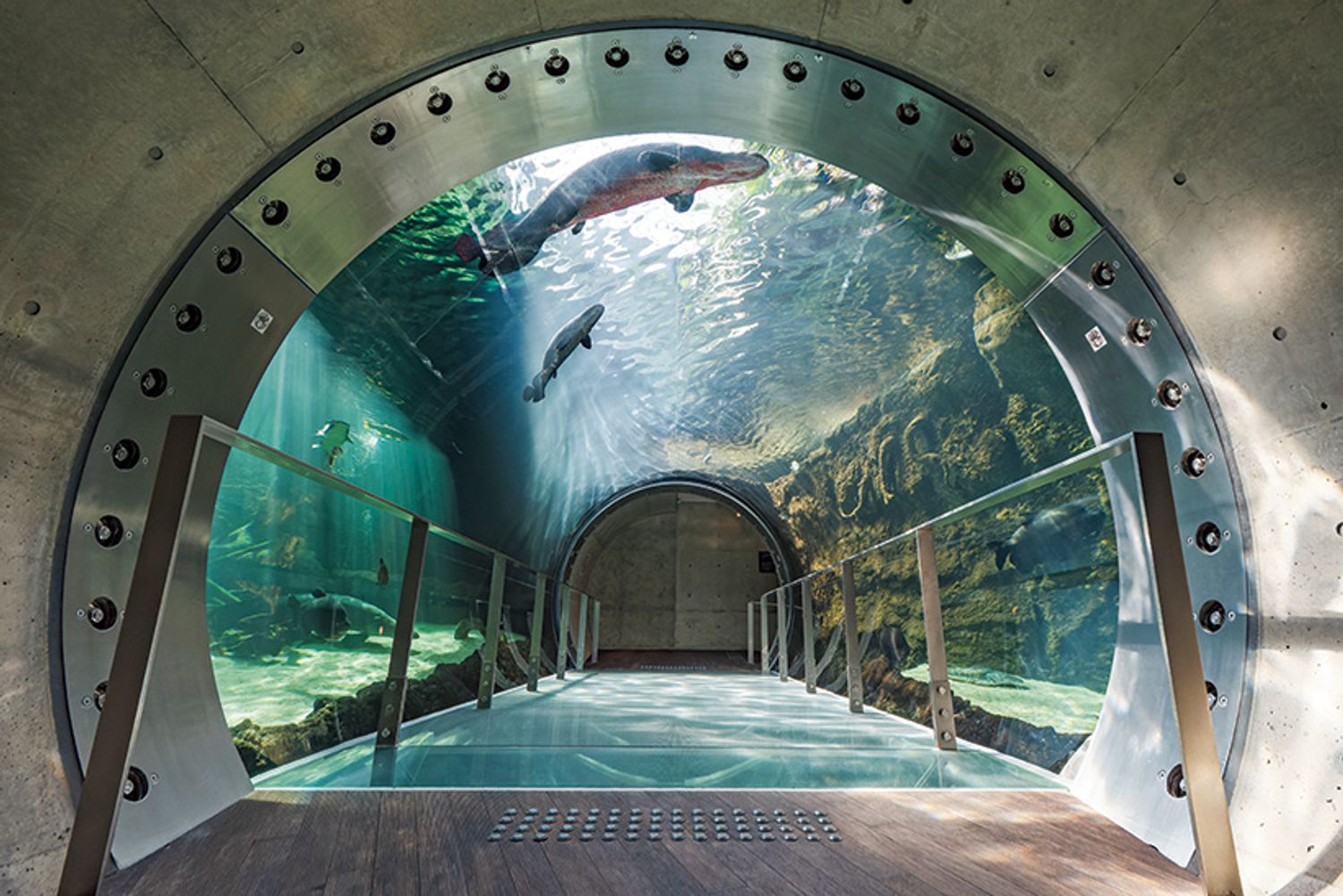 ギャラリー画像