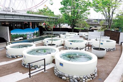 ギャラリー画像