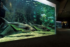 岐阜の美しい川の景色を楽しむ。世界最大級の淡水魚水族館「アクア・トト ぎふ」へ