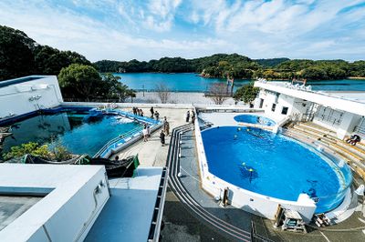 ギャラリー画像