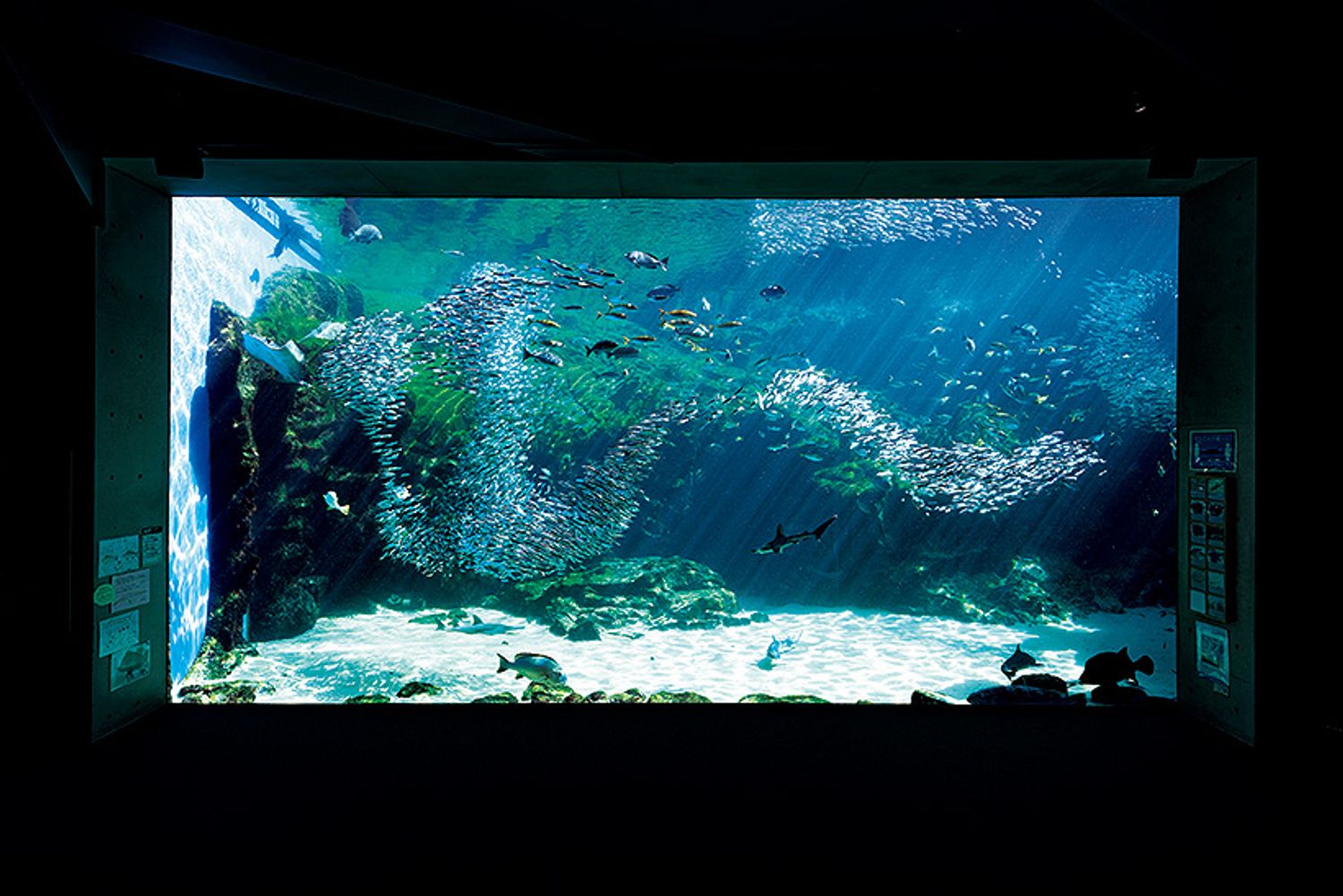 ギャラリー画像