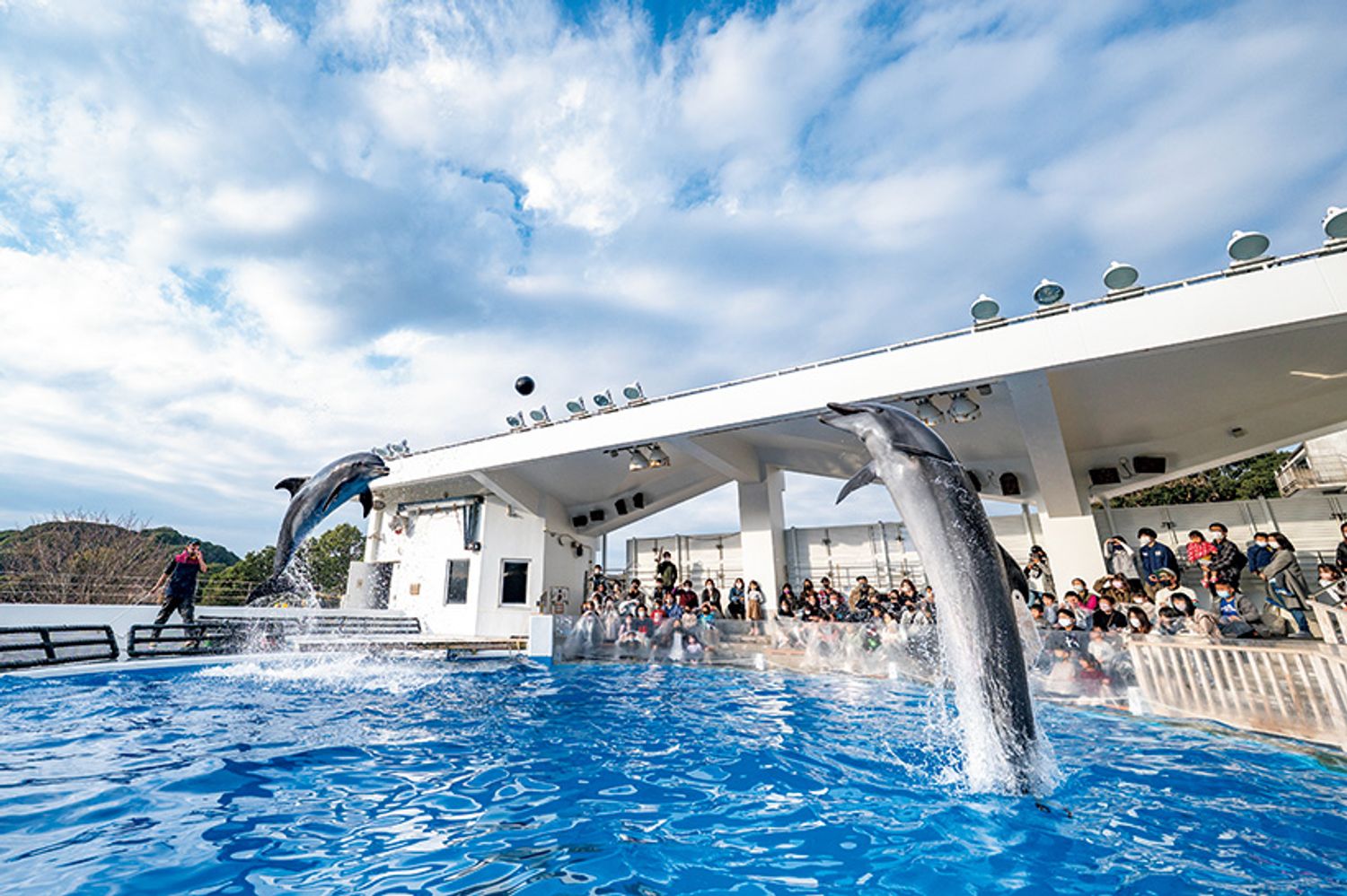 ギャラリー画像