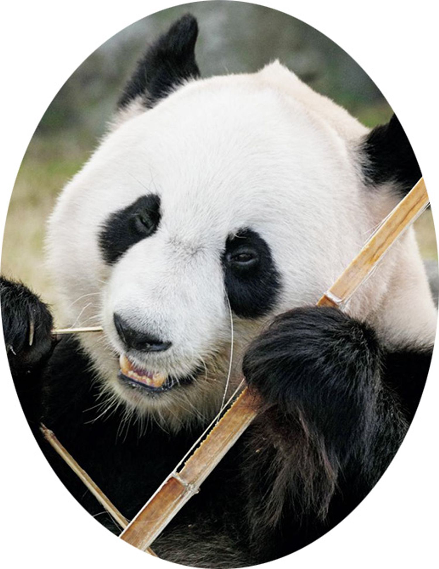 結浜（ゆいひん）