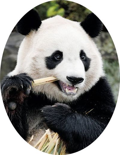 楓浜（ふうひん）