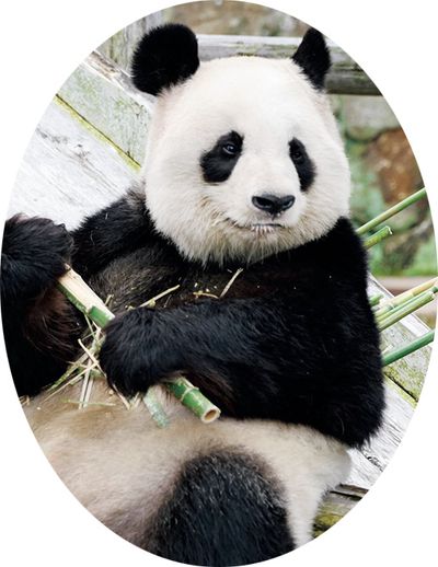 良浜（らうひん）