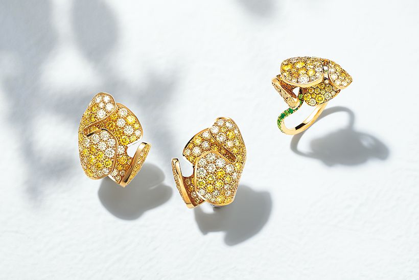 「NIWAKA」のピアスとリング