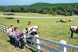タサン志麻さんに教わる！常備しておきたいホワイトソースレシピ