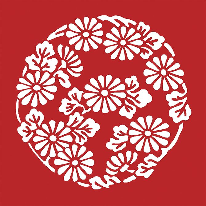 小菊丸（こぎくのまる）