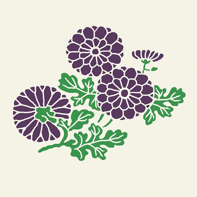 菊折枝（きくのおりえだ）