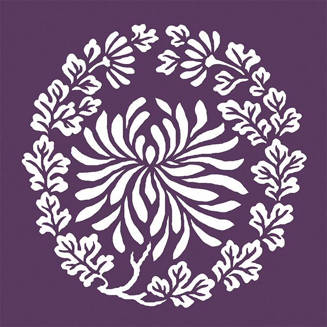 菊丸（きくのまる）